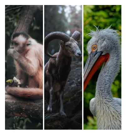 Canvas print wall displays - Package 8